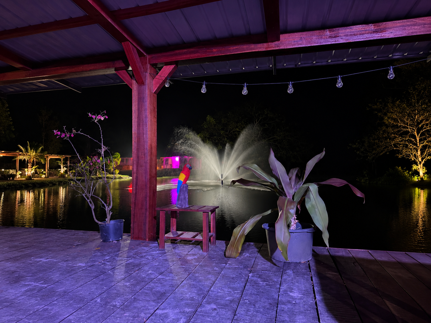 De verlichte vijver en het terras van Ingipipa Park in de avond
